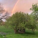 Der Regenbogen an einem wechselhaften Abend. Foto: Harald Sörös